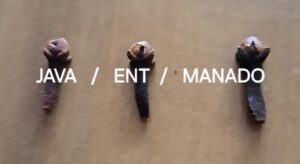 WhatsApp Image 2026-01-25 at 4.14.59 PM