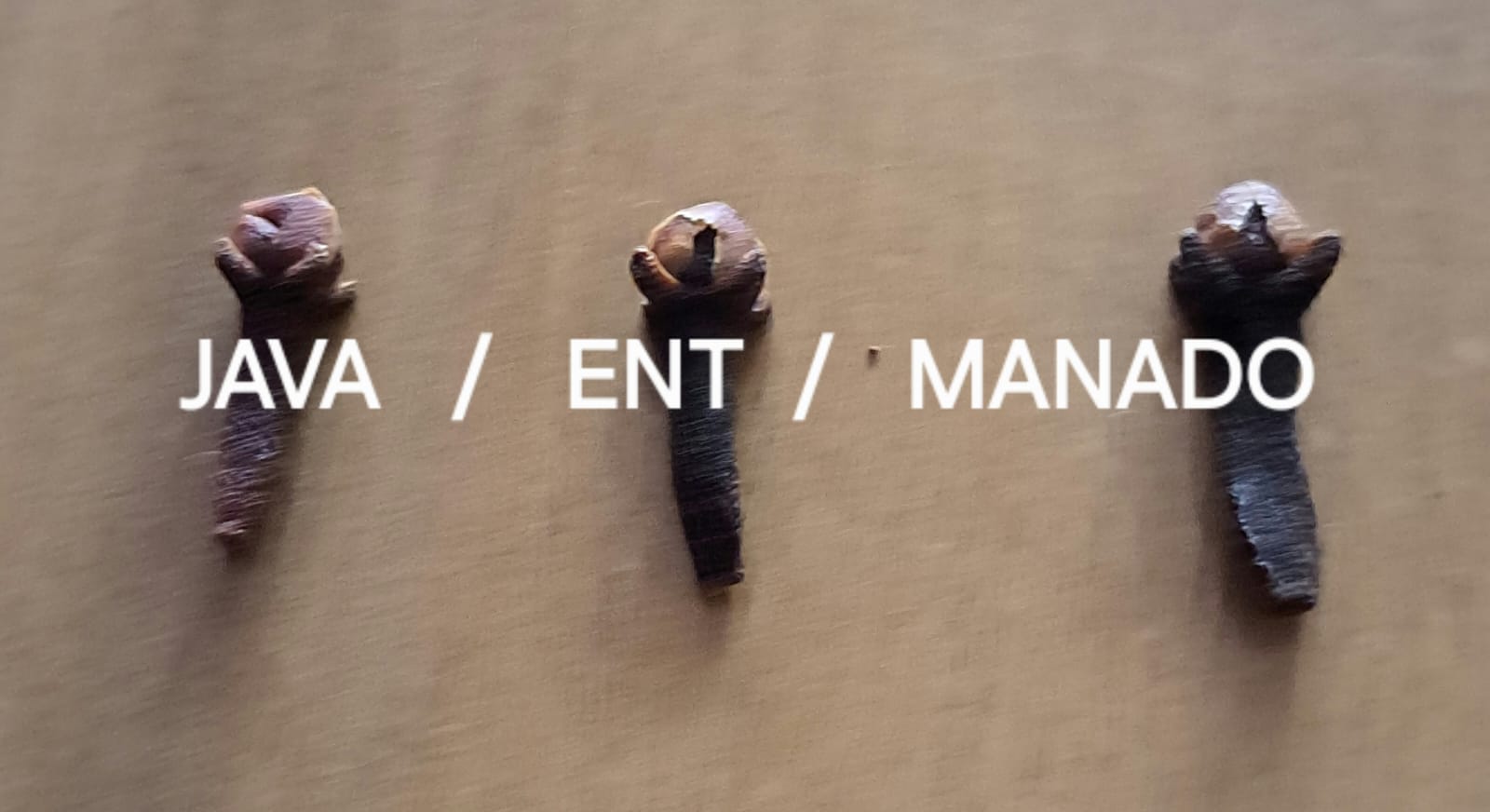 WhatsApp Image 2026-01-25 at 4.14.59 PM