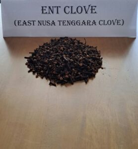 WhatsApp Image 2026-01-25 at 4.15.00 PM