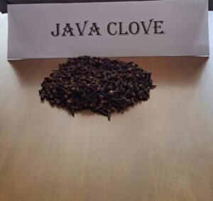 WhatsApp Image 2026-01-25 at 4.15.01 PM