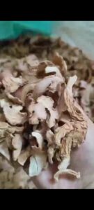 WhatsApp Image 2026-03-02 at 2.33.26 PM