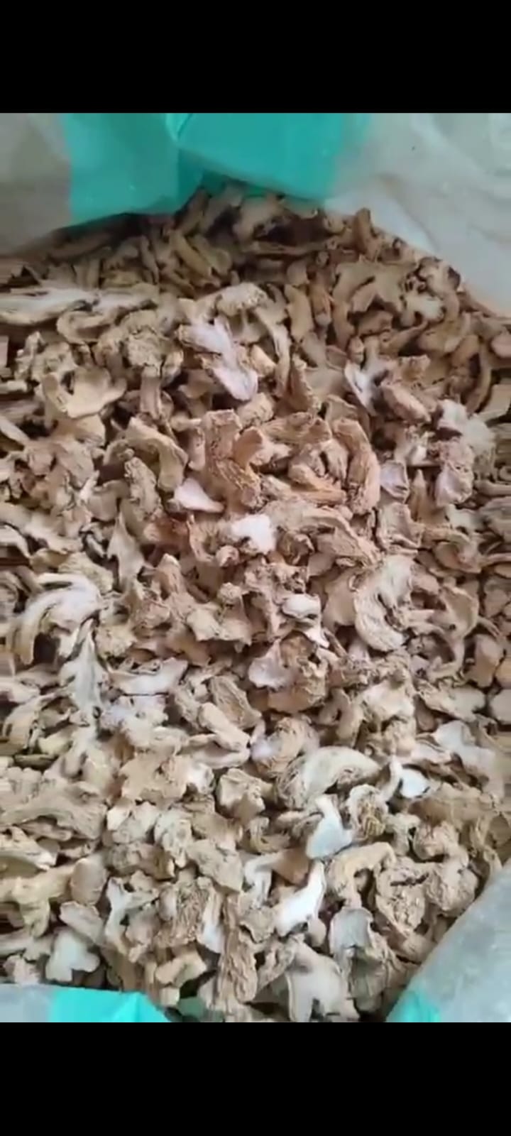 WhatsApp Image 2026-03-02 at 2.35.42 PM